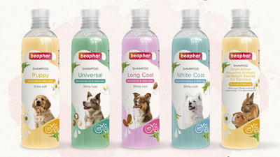 Hond Shampoo/Parfum