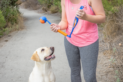 Chuckit Fetch &amp; Fold 25M Launcher