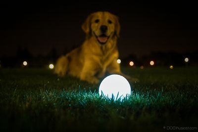 Chuckit Max Glow Ball Glow In The Dark
