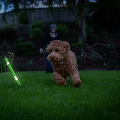Chuckit Max Glow Ultra Fetchstick Green