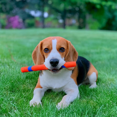 Chuckit Ultra Fetch Stick