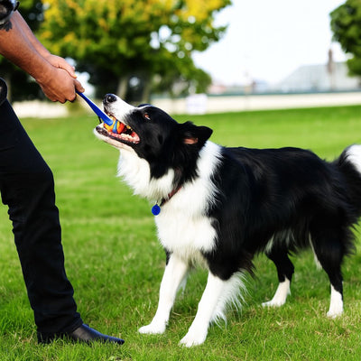Chuckit Ultra Tug