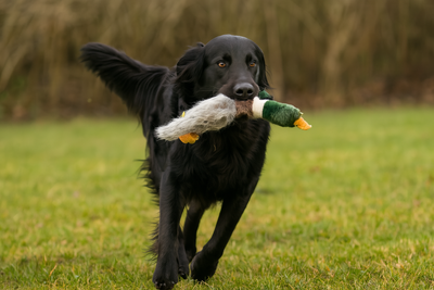 Happy Pet Plush Empty Nester Wild Duck