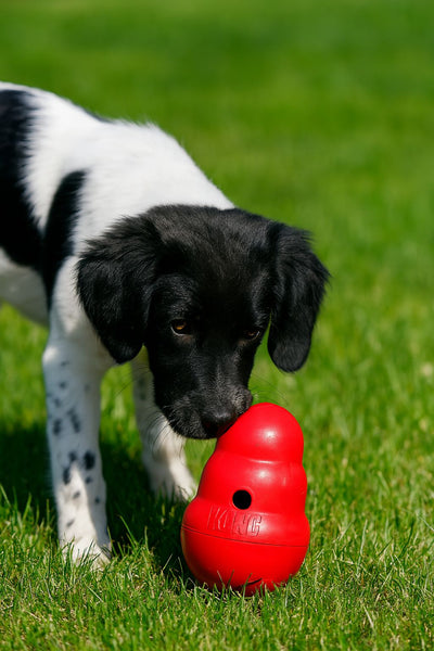 Kong Wobbler Red