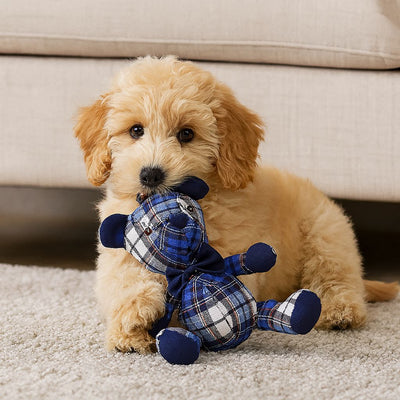 Rosewood Blueberry Beer Checkered Blue
