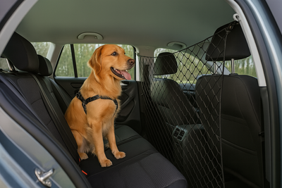 Trixie Net for Car Black